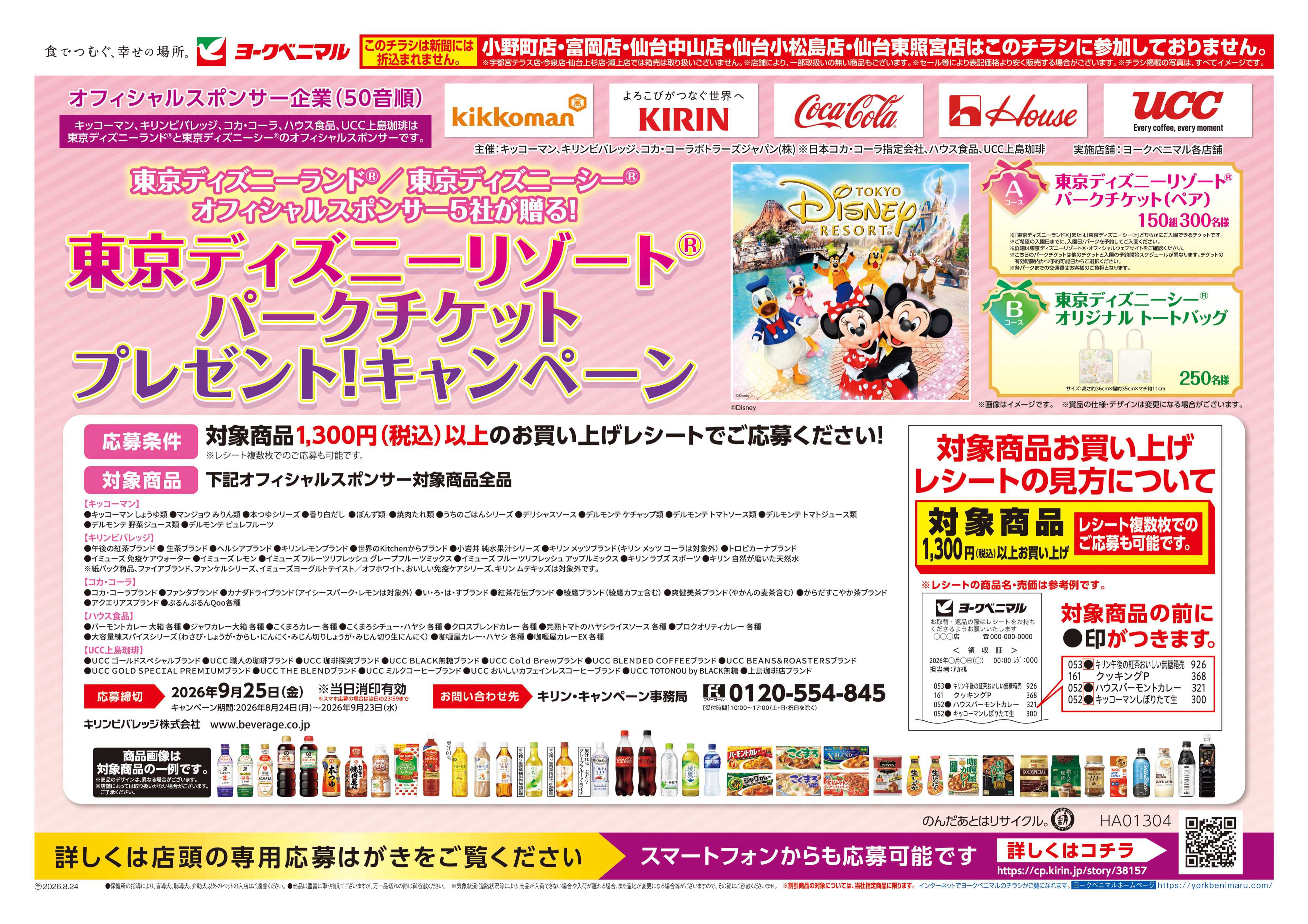 活動歴および当時の関連ビジュアル記録